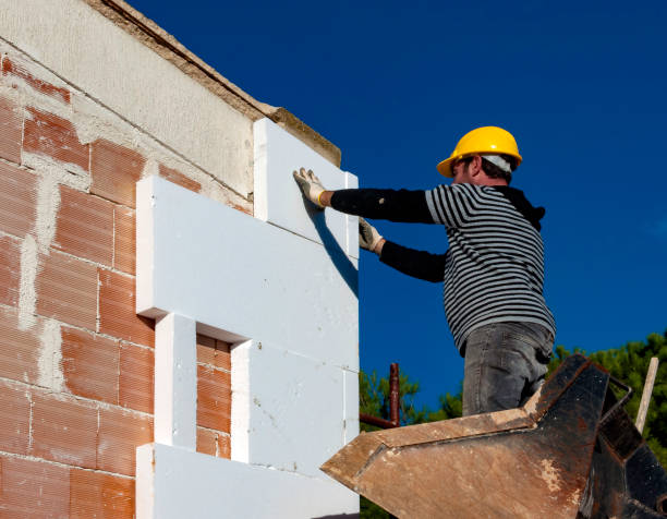 Best Residential Insulation in Guyton, GA