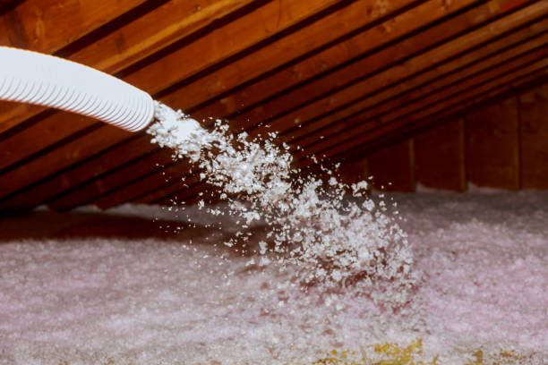 Best Eco-Friendly Insulation in Guyton, GA