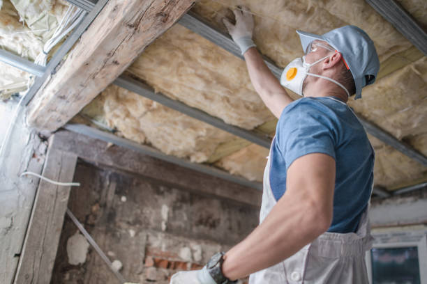 Best DIY Insulation Kits and Guidance in Guyton, GA