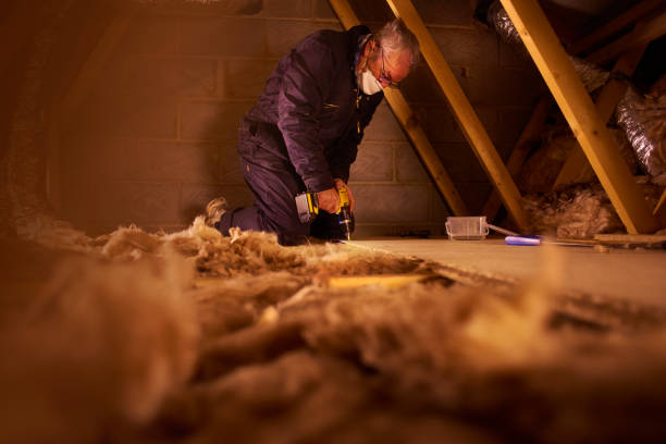 Best Blown-in Insulation in Guyton, GA